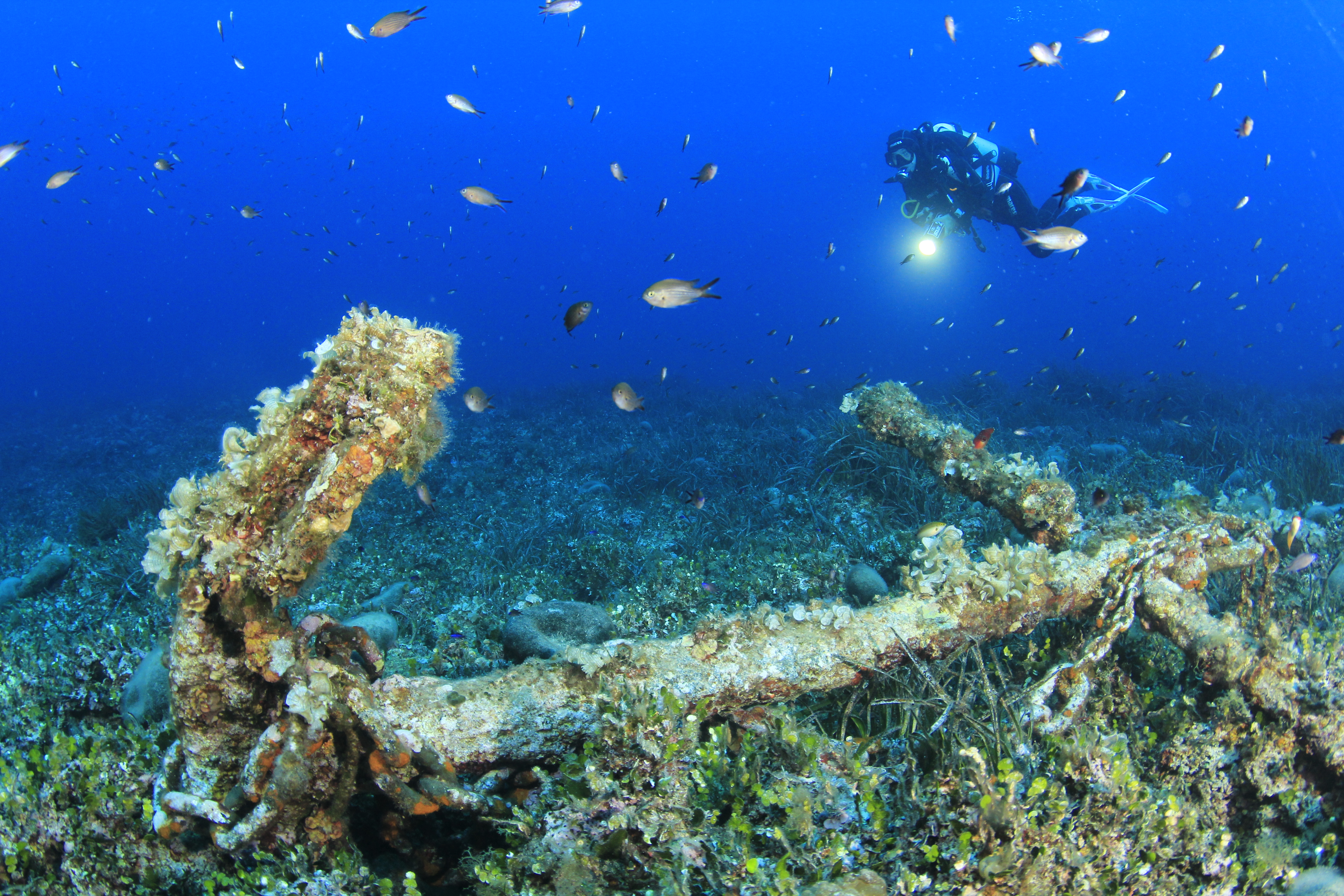 Expérience sous-marine dans les profondeurs de Bosa